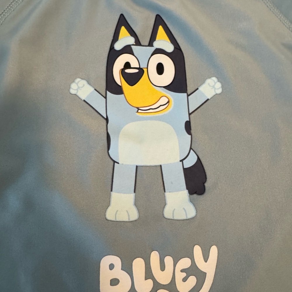 New Bluey Long Sleeve Rash Guard Top - Picture 2 of 5